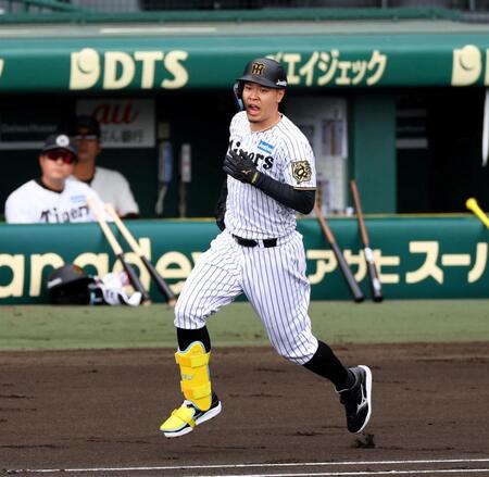 　シート打撃で本塁打を放ち一塁へ向かう佐藤輝（撮影・山口登）