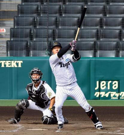　シート打撃で中越えに本塁打を放つ大山（捕手・藤田）＝撮影・山口登
