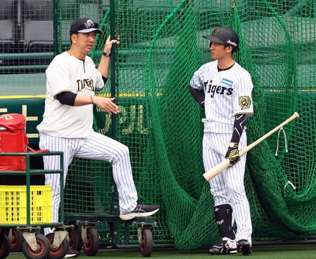 　シート打撃前、藤川監督（左）は近本に声をかける（撮影・山口登）