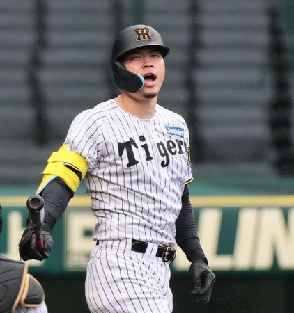 　シート打撃で安打を放った佐藤輝（撮影・田中太一）