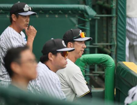 　シート打撃を見る藤川監督（右）ら首脳陣（撮影・田中太一）