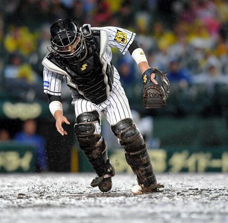 　７回、梶谷の打球をつかみにいく梅野＝１７年１０月１５日