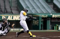 　シート打撃でバットを折りながら安打性の当たりを放つ佐藤輝（撮影・北村雅宏）