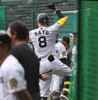 シート打撃で本塁打を放ち、一人でジャンプする阪神・佐藤輝明（８）＝甲子園（撮影・北村雅宏）
