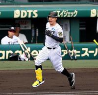 　シート打撃で本塁打を放ち一塁へ向かう佐藤輝（撮影・山口登）
