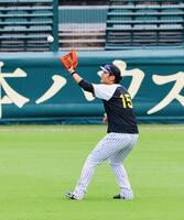 　打球を捕球する西純