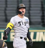 　シート打撃で安打を放った佐藤輝（撮影・田中太一）