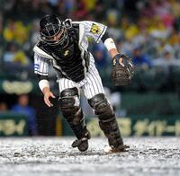 　７回、梶谷の打球をつかみにいく梅野＝１７年１０月１５日