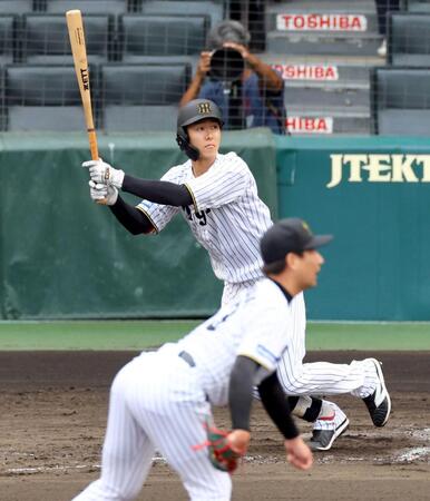 阪神 小幡選手 実使用バット 阪神 小幡選手 実使用バット 阪神