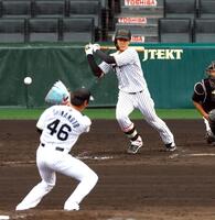 　シート打撃で中前に適時打を放つ小幡（投手・島本）＝撮影・山口登