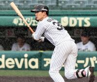　雨が降る中、安打を放つ小幡（撮影・田中太一）