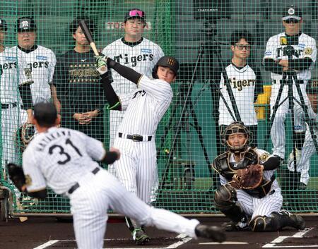 　シート打撃で打席に立つ高寺