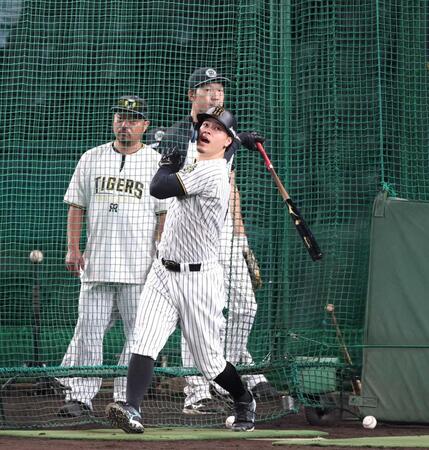 　打撃練習する佐藤輝