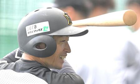 　打撃練習する近本（撮影・飯室逸平）