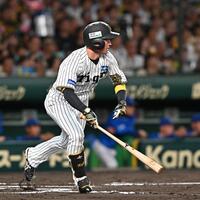 　６回、内野安打を放つ近本（撮影・西田忠信）