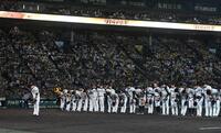 　勝利後、スタンドに一礼する阪神ナイン（撮影・西田忠信）