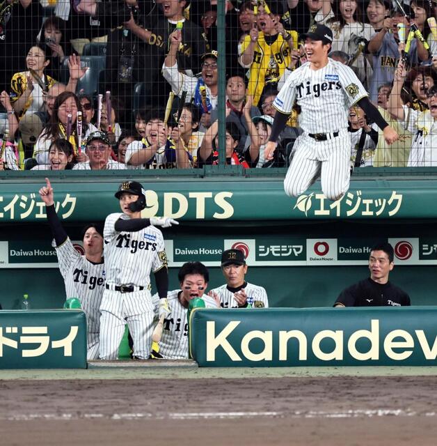 阪神 マジ！？異次元のジャンプ力を見せた若虎 代わって入った小野寺の