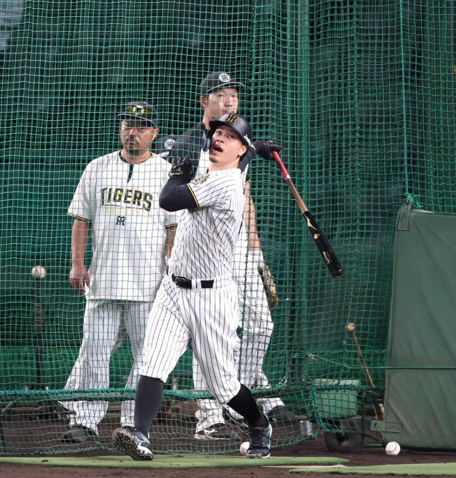 　打撃練習する佐藤輝