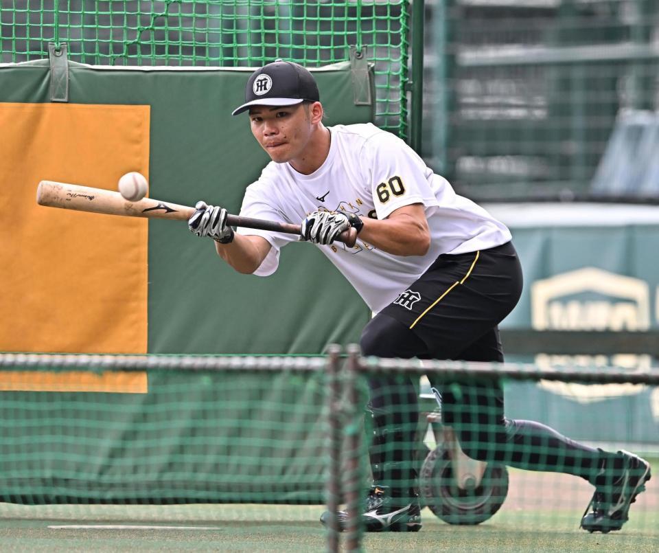 　バント練習をする小野寺（撮影・西田忠信）