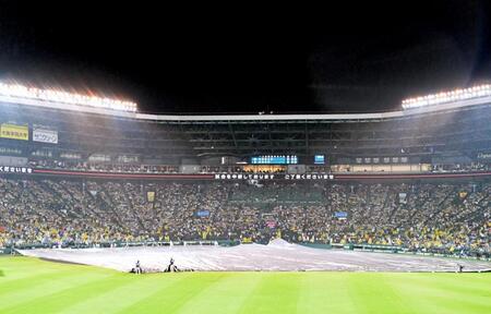 　５回表の途中に雨が激しくなって中断し、シートで覆われるグラウンド（撮影・立川洋一郎）