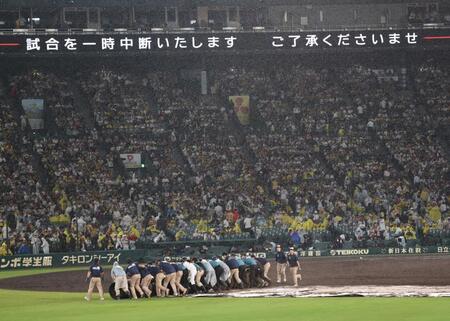　５回、雨のためシートが敷かれる（撮影・田中太一）