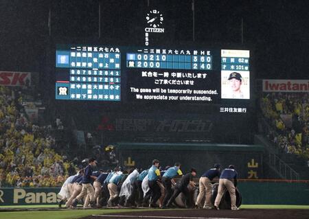 　試合を一時中断する甲子園球場（撮影・北村雅宏）