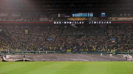 　５回終了時に、雨のため中断となった