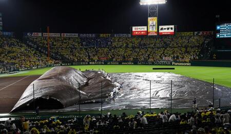 　雨がやみ、シートがめくられる（撮影・山口登）