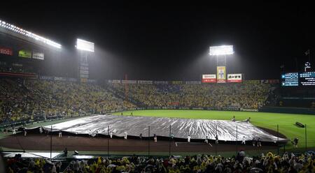 　雨脚が強まり、内野一面にシートが敷かれる（撮影・山口登）