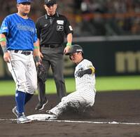 　６回、三盗を決める近本（撮影・飯室逸平）