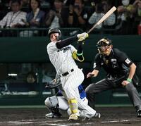 　６回、先制打を放つ森下（撮影・田中太一）