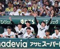 　勝利の瞬間、ベンチで喜ぶ及川（左から２人目）と石井（同５人目）＝撮影・北村雅宏