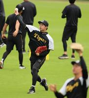 　キャッチボールをして調整する才木（撮影・立川洋一郎）