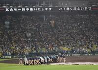 　５回、雨のためシートが敷かれる（撮影・田中太一）