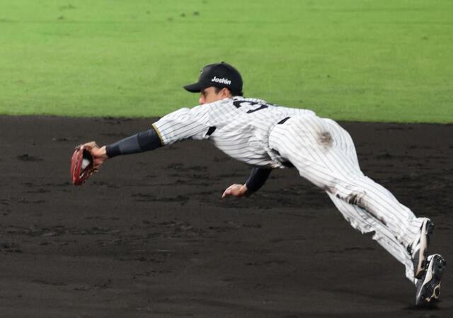 阪神・小幡の横っ跳び好捕に甲子園大歓声/阪神タイガース/デイリー