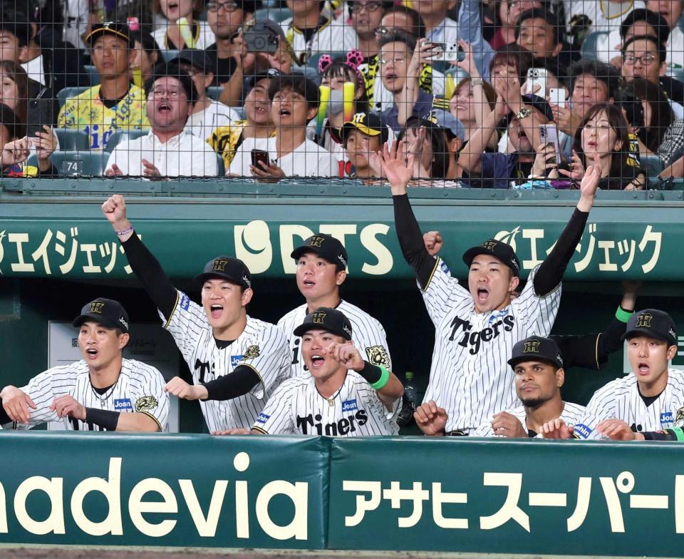 　勝利の瞬間、ベンチで喜ぶ及川（左から２人目）と石井（同５人目）＝撮影・北村雅宏