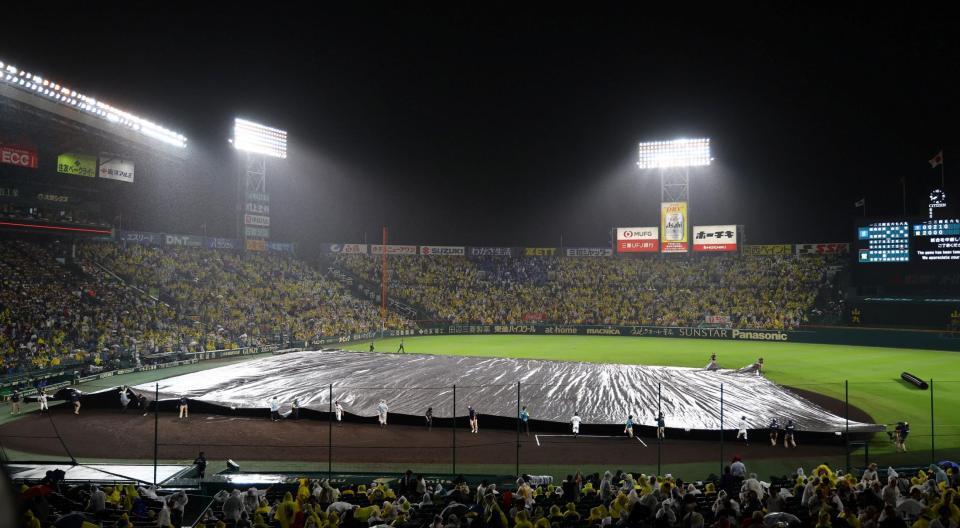　雨脚が強まり、内野一面にシートが敷かれる（撮影・山口登）