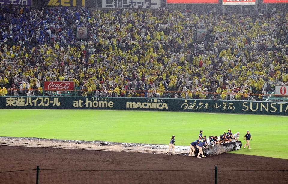 　雨脚が強まり、内野一面にシートが敷かれる（撮影・山口登）