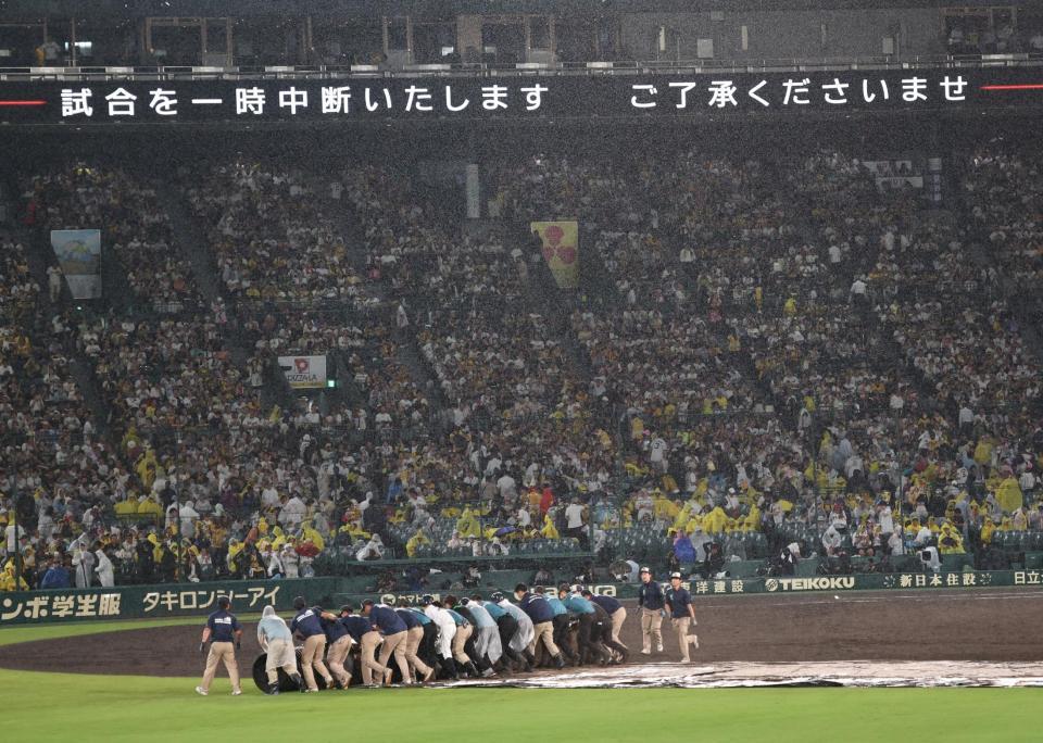 　５回、雨のためシートが敷かれる（撮影・田中太一）