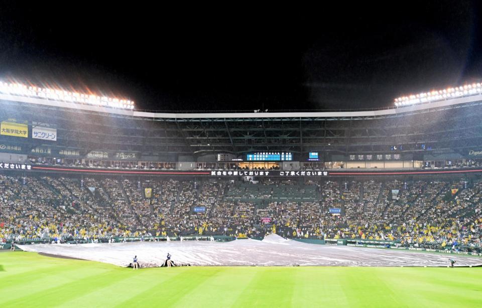 　５回表の途中に雨が激しくなって中断し、シートで覆われるグラウンド（撮影・立川洋一郎）