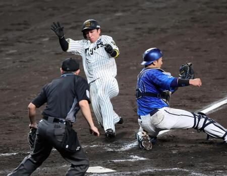 　８回、近本は佐藤輝の右前適時打で生還する（撮影・山口登）