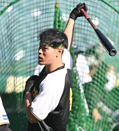 　打撃練習する佐藤輝（撮影・西田忠信）