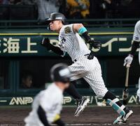 　６回、同点打を放つ佐藤輝（撮影・田中太一）