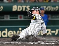 　８回、佐藤輝の同点適時打で生還する近本（撮影・西田忠信）