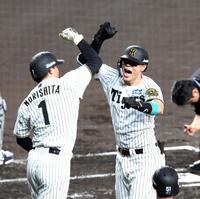 　１回、先制３ランを放った佐藤輝は森下とエルボータッチを決める（撮影・山口登）