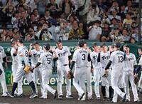 日本シリーズ進出を決め、勝利のタッチを交わす阪神・藤川球児監督（中央）ら阪神ナイン＝甲子園（撮影・立川洋一郎）