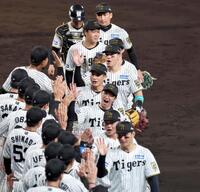 　日本シリーズ進出を決め喜ぶ佐藤輝ら阪神ナイン（撮影・山口登）