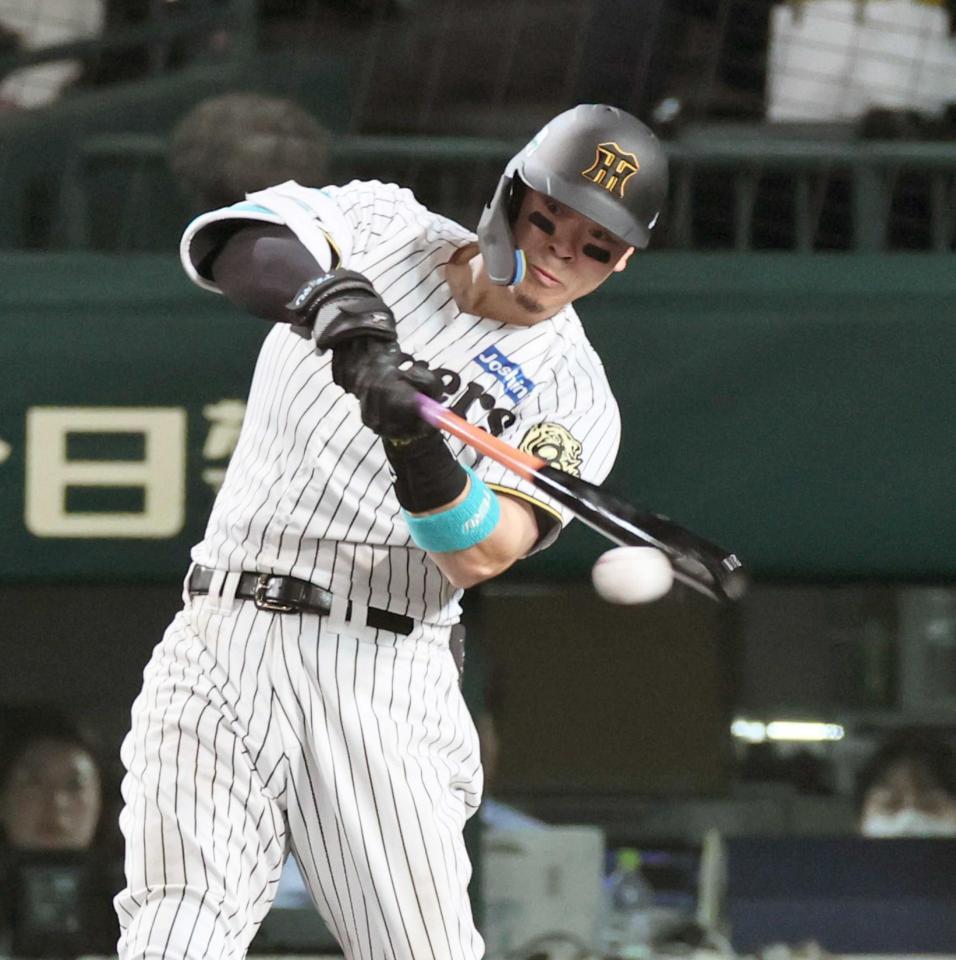 　８回、同点打を放つ佐藤輝（撮影・田中太一）