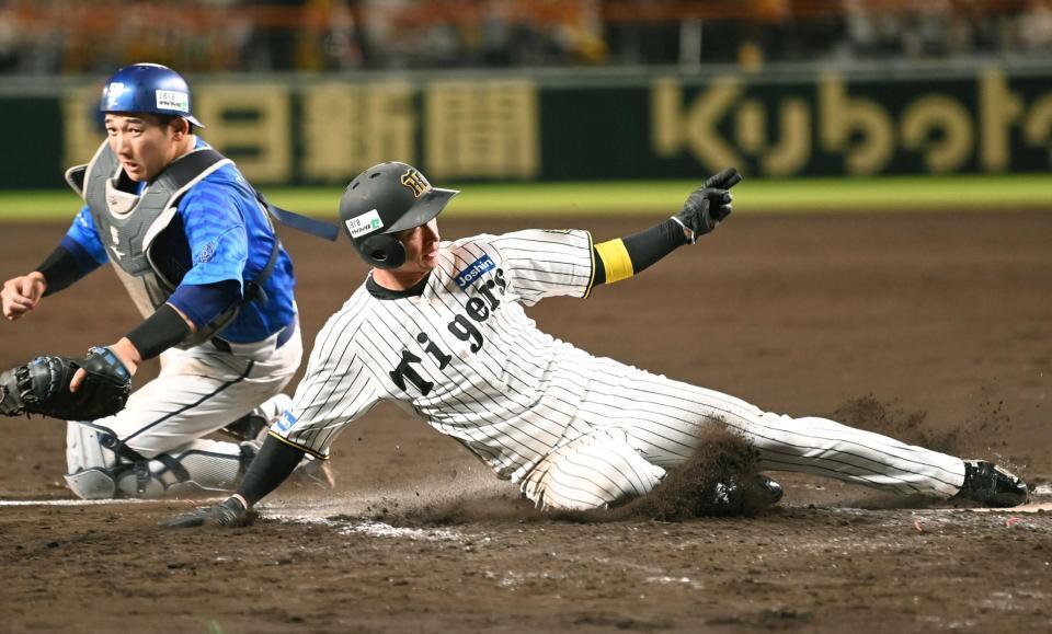 　８回、佐藤輝の適時打で生還する近本（撮影・飯室逸平）