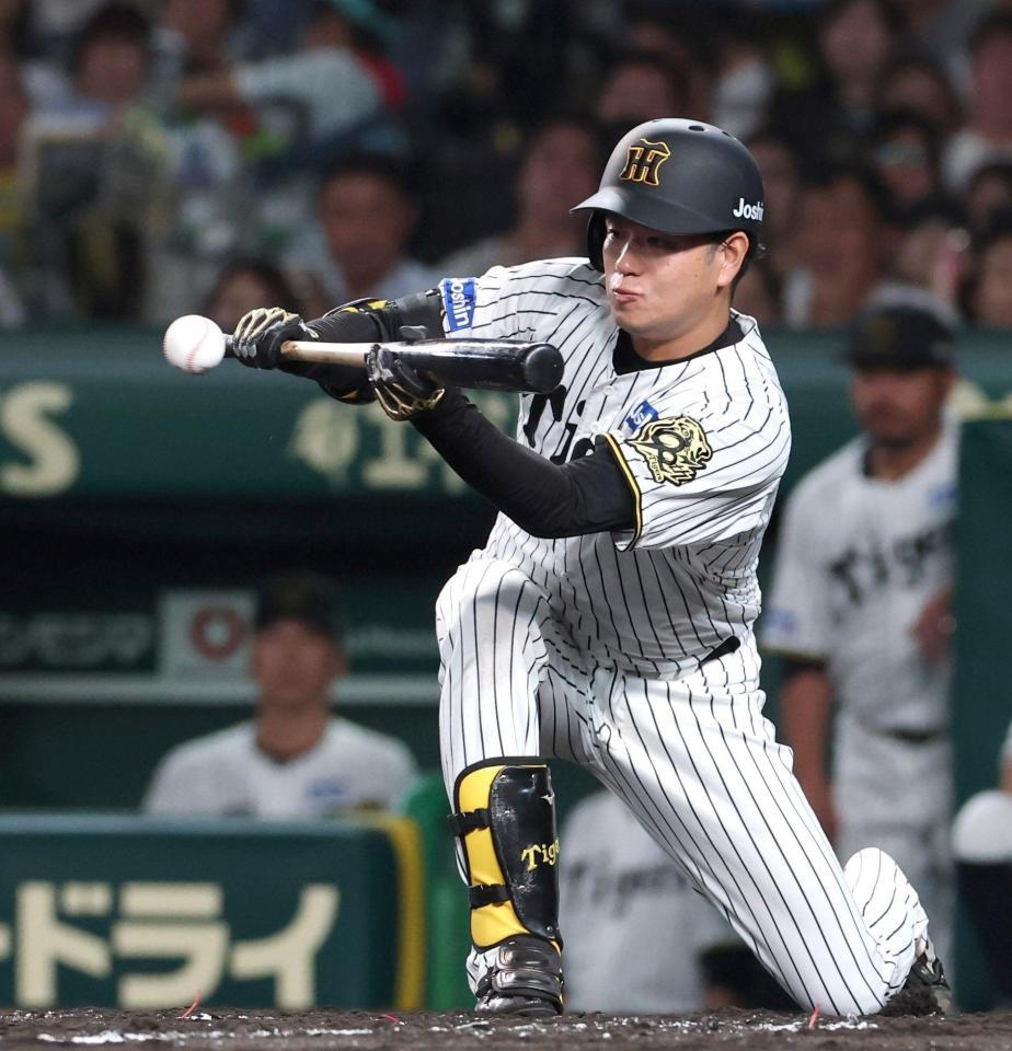 　４回、犠打バントを決める高橋（撮影・北村雅宏）